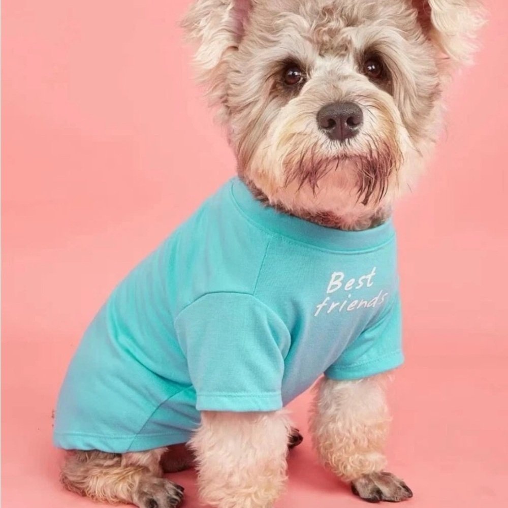 Small Dog Or Cat Pet Tee T-Shirt Best Friends Aqua Blue Clothing